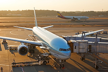 Plane on tarmac, Narita International Airport, Tokyo, Japan, Asia