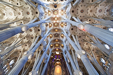 Interior, Sagrada Familia, UNESCO World Heritage Site, Barcelona, Catalonia, Spain, Europe