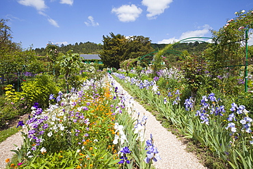 Monet's Garden, Giverny, Normandy, France, Europe