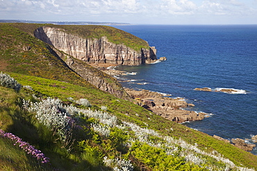 Cap Frehel, Cote d'Emeraude, Cotes d'Armor, Brittany, France, Europe