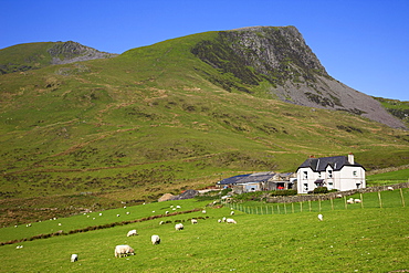 Farmhouse and mountains, Snowdonia National Park, Gwynedd, Wales, United Kingdom, Europe