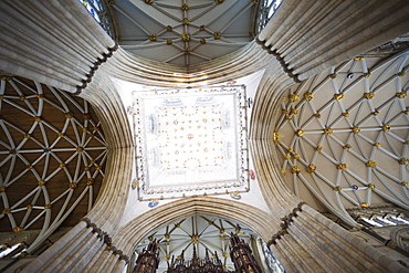 Gothic roof detail, York Minster, York, Yorkshire, England, United Kingdom, Europe