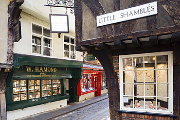 The Shambles, York, Yorkshire, England, United Kingdom, Europe