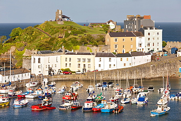 Tenby Harbour, Tenby, Pembrokeshire, Wales, United Kingdom, Europe