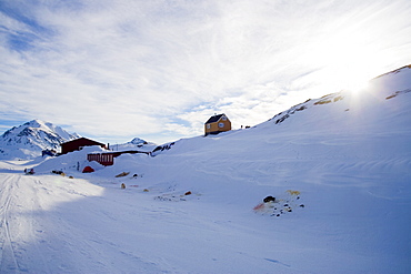 Village scene with dogs, Kulusuk, East Coast, Greenland, Polar Regions