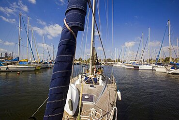 Seaport of Kishon near the port of Haifa, Israel