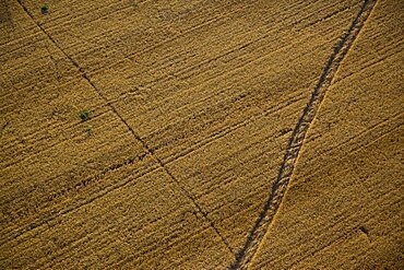 Aerial abstractive view of the agriculture fields of the northern Negev desert