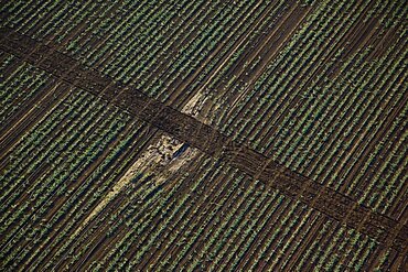 Aerial abstractive view of the agriculture fields of the northern Negev desert