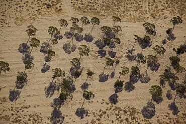 The landscape of the Negev desert