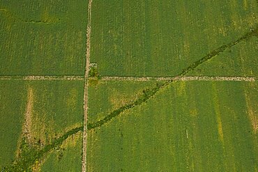 Abstract photograph of a green field in the Plain