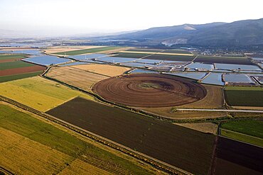 Aerial agriculture fields of Kibutz Beit Alfa in the Jezreel valley, Israel