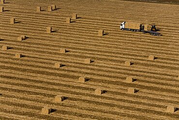 Aerial photograph of Hay stacks in a field in the costal plain, Israel