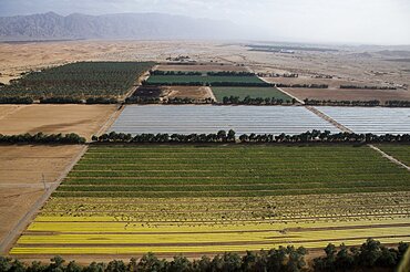 Aerial agriculture fields of the Arava, Israel