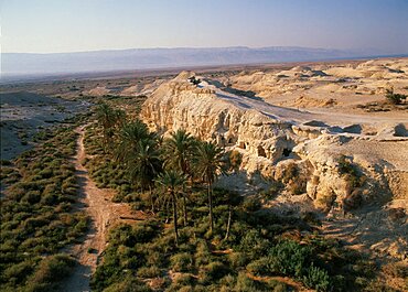 Aerial view of the remains of a Byzantine Laura in Dir Hajla region, Israel