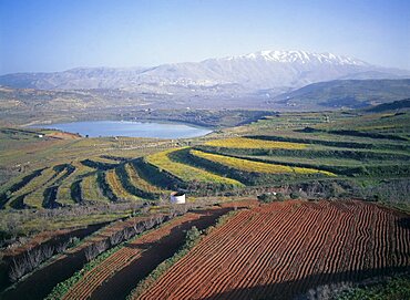 Aerial Agriculture fields in the northern Golan Heights, Israel