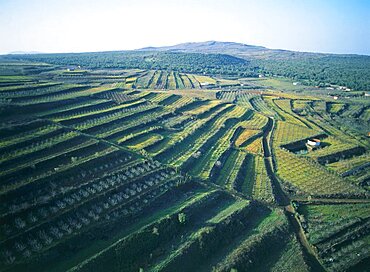 Aerial agriculture fields of the northern Golan Heights, Israel