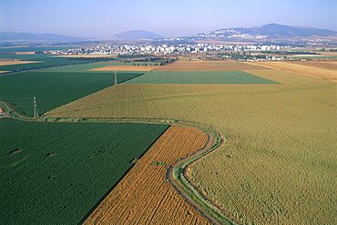 Aerial agriculture fields of the Jezreel valley, Israel