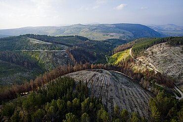 Aerial photograph of Biriya forest in the Upper Galilee, Israel