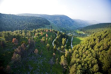 Aerial photograph of Biriya forest in the Upper Galilee, Israel