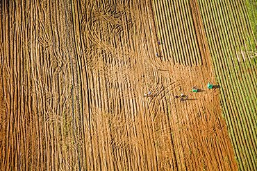 Aerial photograph of the agriculture fields of the Sharon, Israel