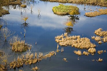 Aerial photograph of a pond in the Sharon, Israel