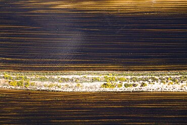 Abstract view of an agriculture field in the Plain, Israel