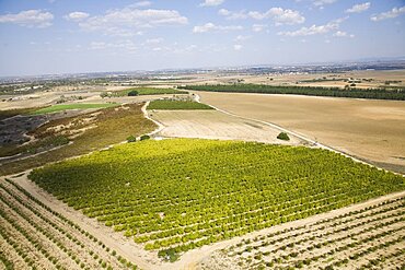 Aerial photograph of the agriculture fields of the Plain, Israel