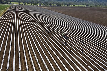 Aerial agriculture fields of Kibutz Yagur in the western Galilee, Israel