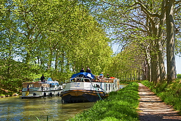 Navigation on the Canal du Midi, UNESCO World Heritage Site, between Carcassonne and Beziers, Aude, Languedoc Roussillon, France, Europe