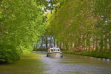 Navigation on the Canal du Midi, UNESCO World Heritage Site, between Carcassonne and Beziers, Aude, Languedoc Roussillon, France, Europe