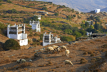 Pigeon house near Tarabados, Tinos, Cyclades, Greek Islands, Greece, Europe