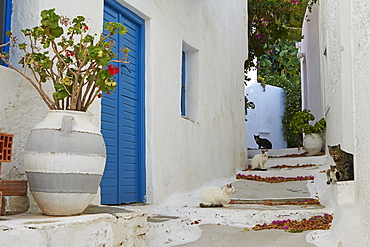 Hora, Serifos Island, Cyclades, Greek Islands, Greece, Europe