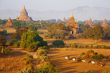 Bagan (Pagan), Myanmar (Burma), Asia