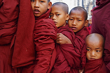 Monks in procession during Full Moon Festival, Patho Ananda temple, Bagan (Pagan), Myanmar (Burma), Asia