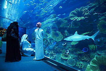 Aquarium, Mall of the Emirates Commercial Center, Dubai, United Arab Emirates, Middle East