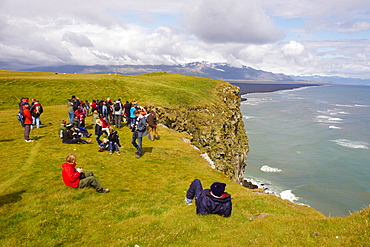 Tourists looking the colonies of puffins nests in the cliffs of Vik, Iceland, Polar Regions