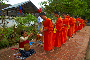 Procession of Buddhist monks collecting alms and rice at dawn, Luang Prabang, Laos, Indochina, Southeast Asia, Asia