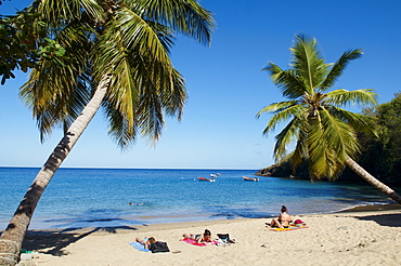 Anse Dufour beach, Martinique, French West Indies, Caribbean, Central America