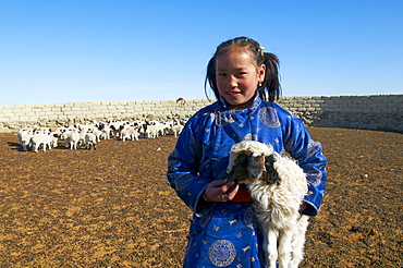 Young Mongolian girl in traditional costume (deel) with her sheep, Province of Khovd, Mongolia, Central Asia, Asia