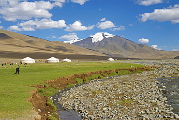 Nomad Kazakh family and yurts, Region of Bayan Ulgii, Mongolia, Central Asia, Asia