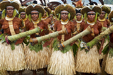 Sing Sing of Mount Hagen, a cultural show with ethnic groups, Mount Hagen, Western Highlands, Papua New Guinea, Pacific