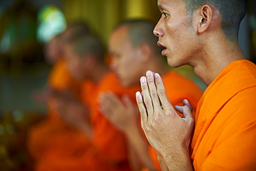 Monk praying in the monastery, Luang Prabang, Laos, Indochina, Southeast Asia, Asia