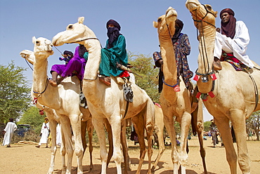 Gerewol, general reunion of West Africa for the Wadabee Peuls (Bororo peul), Niger, West Africa, Africa