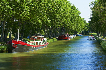 Navigation on the Canal du Midi between Carcassone and Beziers, UNESCO World Heritage Site, Aude, Languedoc Roussillon, France, Europe