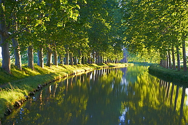 Navigation on the Canal du Midi, between Carcassone and Beziers, UNESCO World Heritage Site, Aude, Languedoc Roussillon, France, Europe