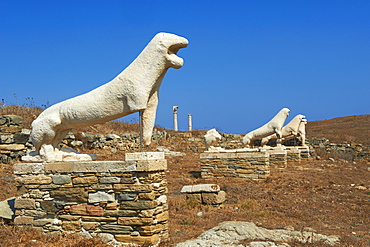 Statues on the Lion Terrace, Delos, UNESCO World Heritage Site, Cyclades Islands, Greek Islands, Greece, Europe