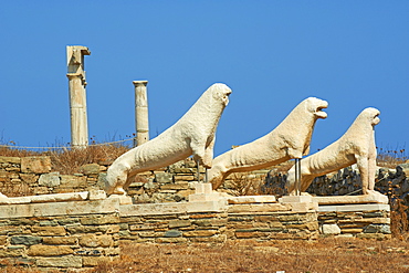 Statues on the Lion Terrace, Delos, UNESCO World Heritage Site, Cyclades Islands, Greek Islands, Greece, Europe