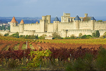 Medieval city of Carcassonne, UNESCO World Heritage Site, Aude, Languedoc-Roussillon, France, Europe