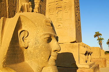 Statue of the pharaoh Ramesses II and Obelisk, Temple of Luxor, Thebes, UNESCO World Heritage Site, Egypt, North Africa, Africa