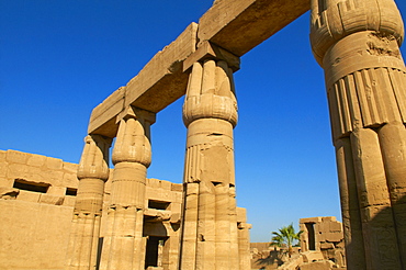 Temple of Amun, Karnak, Thebes, UNESCO World Heritage Site, Egypt, North Africa, Africa